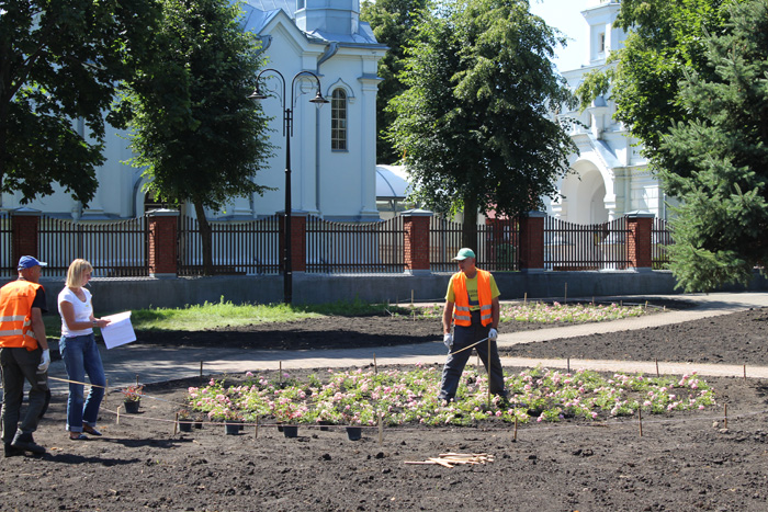 Przy cerkwi w centrum Wasilkowa trwają nasadzenia roślin