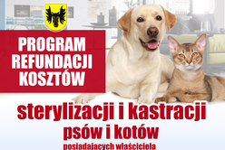 Plakat - www koty psy.jpg